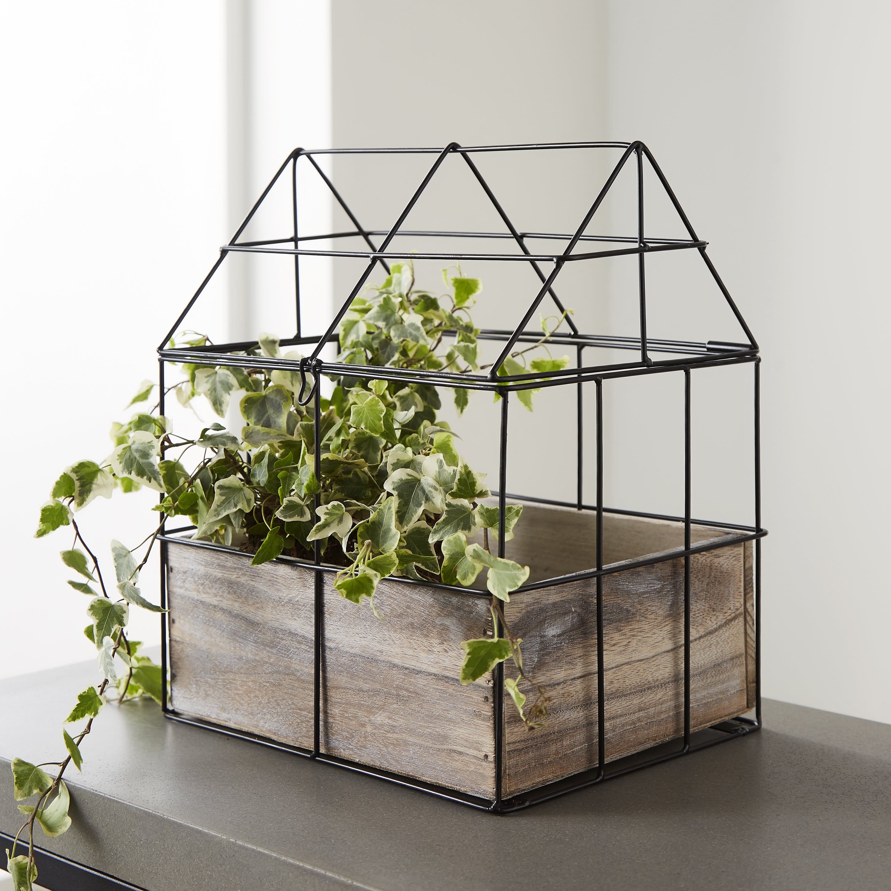 Greenhouse Tabletop Herb Planter