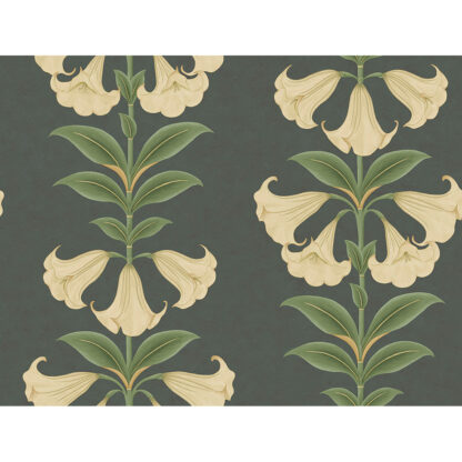 Cole and Son Seville Angel's Trumpet 117/3006 Wallpaper