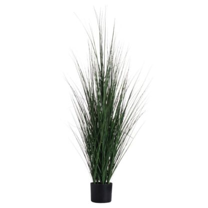 Potted Tall Grass Bush