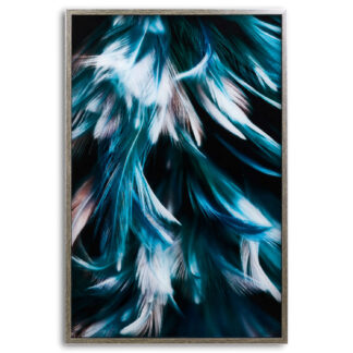 Teal Feather Glass Image In Silver Frame