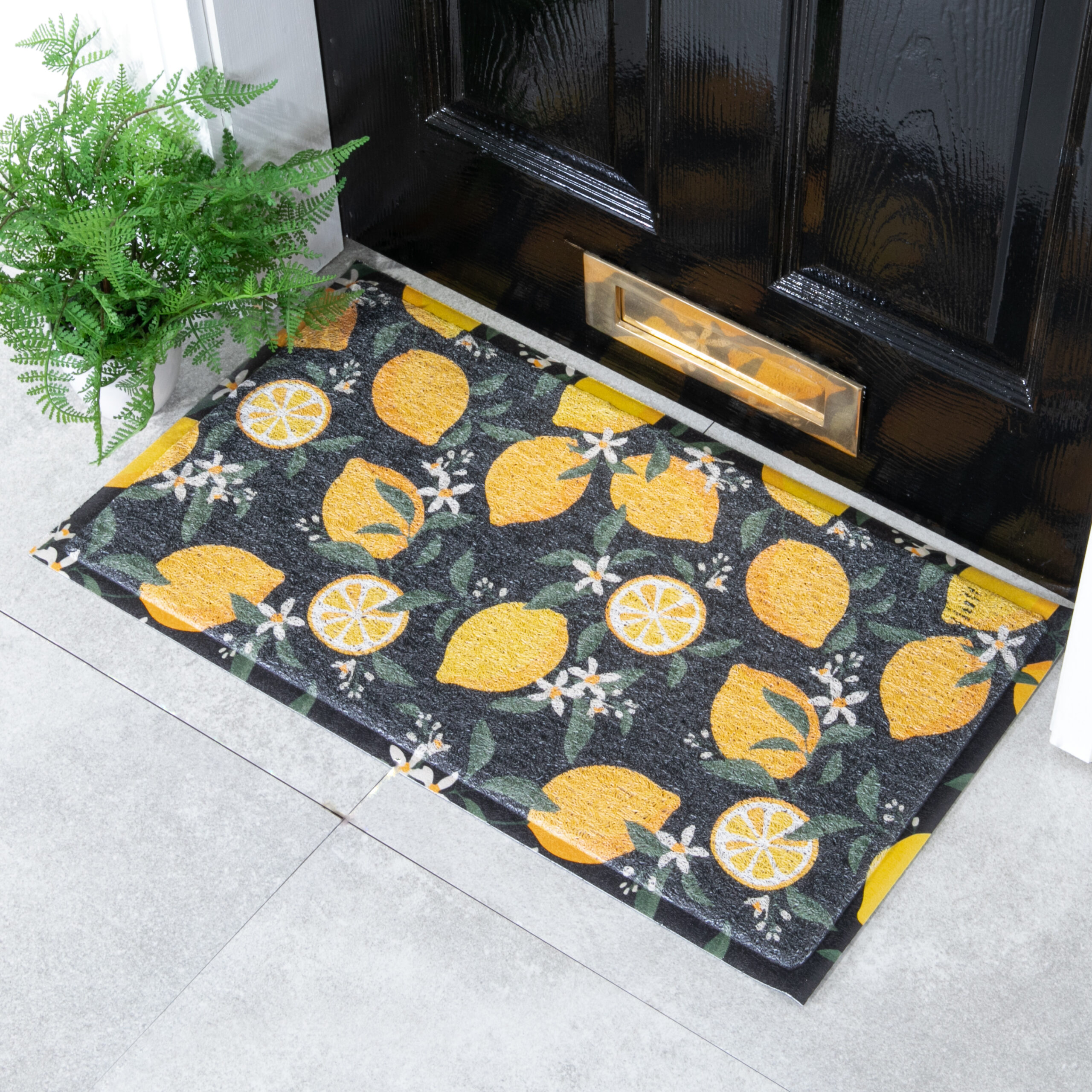 Multi Lemons Doormat (70 x 40cm)
